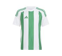 adidas Unisex Kinder Striped 24 Jersey Kids, White/Team Green, 11-12 Years