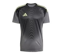 adidas Performance Tiro 25 Competition Maillot de gardien de but gris, taille L pour homme