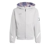 ADIDAS PERFORMANCE Veste de sport 'Mercedes-AMG Petronas Formula One Team' gris clair / argent, Taille 128