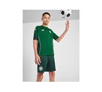 adidas Précommande Short d'entraînement Celtic Junior - Vert 7-8Y