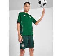 adidas Précommande Short d'entraînement Celtic Junior - Vert 9-10Y
