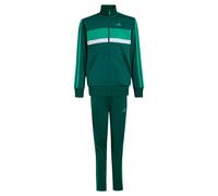 Adidas Seasonal Essentials Tiberio 3 Stripes Tricot Tracksuit Vert 9-10 Years Enfants