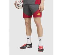 Short AS Roma Competition Tiro 2026/27 Gris M Male