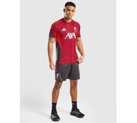 ADIDAS PERFORMANCE Pantalon de sport 'FC Liverpool Tiro 25 Competition' anthracite / melon / blanc cassé, Taille XL