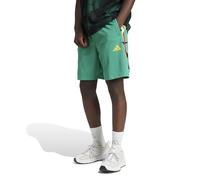 adidas Short House of Tiro Nations Pack pour homme, Vert semi-court/or foncé/vert surf, L