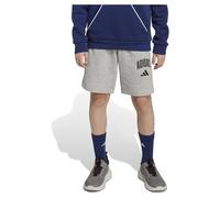 Adidas Short Seasonals Essentials Collegiate Typography