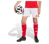 Adidas Shorts Junior Domicile Arsenal 25/26