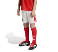 Adidas Shorts Junior Domicile Benfica 26/27