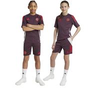 Adidas Shorts Junior Entraînement Fc Bayern Munich 24/25