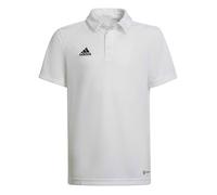 Adidas Sport Ent22 Polo Et Polo 176 cm