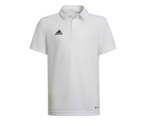 Adidas Sport Ent22 Polo Et Polo 176 cm