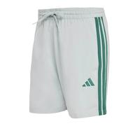 ADIDAS SPORTSWEAR Pantalon de sport 'Essentials Chelsea' roseau / vert pastel, Taille L
