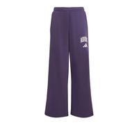 ADIDAS SPORTSWEAR Pantalon de sport mûre / blanc, Taille 164