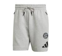 Adidas New Z.n.e Shorts Gris XS / Regular Homme