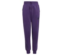 ADIDAS SPORTSWEAR Pantalon de sport 'Z.N.E.' violet foncé / noir, Taille 164