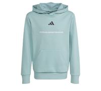 Adidas Sweat à capuche enfant Slogan Fleece Vert 9-10 ans Garçon
