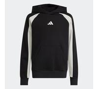 adidas Mixte Enfant Seasonal Essentials Colorblock Fleece Hoodie, Black/Wonder Silver/White, 11-12 Years