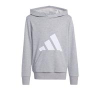 Adidas Sweat à capuche Essentials Grand logo Gris 13-14 ans (Enfants)