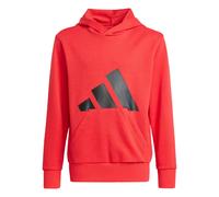 Adidas Unisex Kinder Essentials BIG Logo Hoodie, Pure Ruby/Black, 13-14 Years
