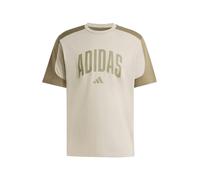 adidas Herren Collegiate T-Shirt, Silver Pebble/Olive strata, M