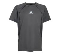 ADIDAS SPORTSWEAR T-Shirt fonctionnel 'Tech Apparel' pierre / gris clair, Taille 128