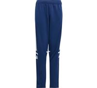 Adidas Pantalon d'entraînement SQUADRA25 Unisexe Enfant Bleu marine/Blanc 15-16 ans