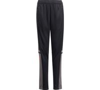 Pantalon d'entraînement Squadra 25 Enfants Black / Team Grey Four / Pure Ruby 7-8A