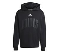 Adidas Stadium Graphic Hoodie Felpa con Cappuccio da uomo black