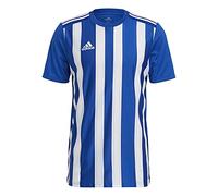 adidas Striped 21 JSY Jersey (Short Sleeve) Homme