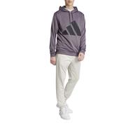Adidas Survêtement pour Homme Big Logo Gris