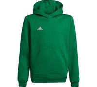 Adidas Sweat à Capuche Entrada 22