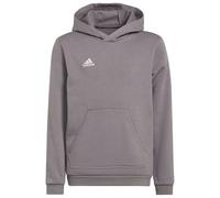 Adidas Sweat à Capuche Entrada 22