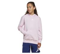 Adidas Sweat à Capuche Essentials Small Logo
