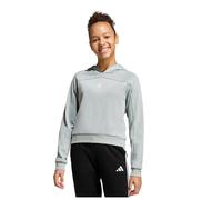 Adidas Sweatshirt à capuche fille Holiday Glam Vert 5/6 ans