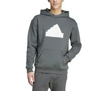 Adidas Sweat à Capuche pour Homme Future Icons Badge of Sport Gris