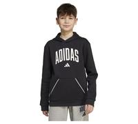 Adidas Sweat à Capuche Seasonals Essentials Collegiate Typography
