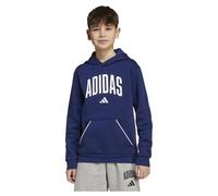 Adidas Sweatshirt à capuche enfant Seasonals Essentials Collegiate Typography Bleu 7-8 ans Unisexe