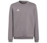 Adidas Sweat-shirt Entrada 22 Stadium Sw