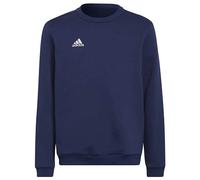 Adidas Sweat-shirt Entrada 22 Stadium Sw