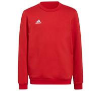 Adidas Sweat-shirt Entrada 22 Stadium Sw