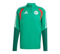Adidas Sweatshirt d'entraînement Algeria 26/27 Vert Homme 2XL Regular