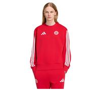 Sweatshirt Bayern Munich DNA Rouge XS Male
