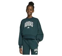 Adidas Sweat-shirt Seasonals Essentials Collegiate Typography Crewneck