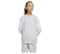 Adidas Sweatshirt Squadra 25 ras-du-cou enfant Gris 5-6 ans