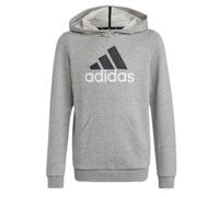 Adidas Sweats Big Logo 2 Hoody JR, HB4362, Pointure: 123