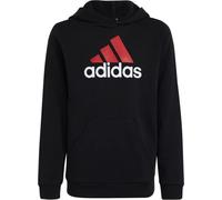 Adidas Sweats Big Logo 2 Hoody JR, HR6370, Pointure: 123