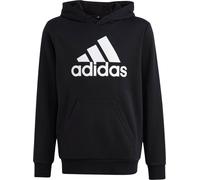 Adidas Sweats Big Logo Essentials Hoody JR, HR6380, Pointure: 123