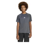 Adidas T-shirt à Manches Courtes All Sports Favorite