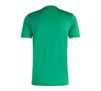 Adidas Maillot d'entraînement Entrada 26 Homme Vert/Blanc L