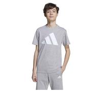 Vêtements adidas sportswear J BL TEE 160 pour 15A - 16A Gris